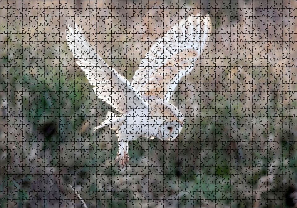 Çayırda Konmaya Hazırlanan Beyaz Baykuş Puzzle Yapboz MDF Ahşap 1000 Parça 49 cm X 68 cm