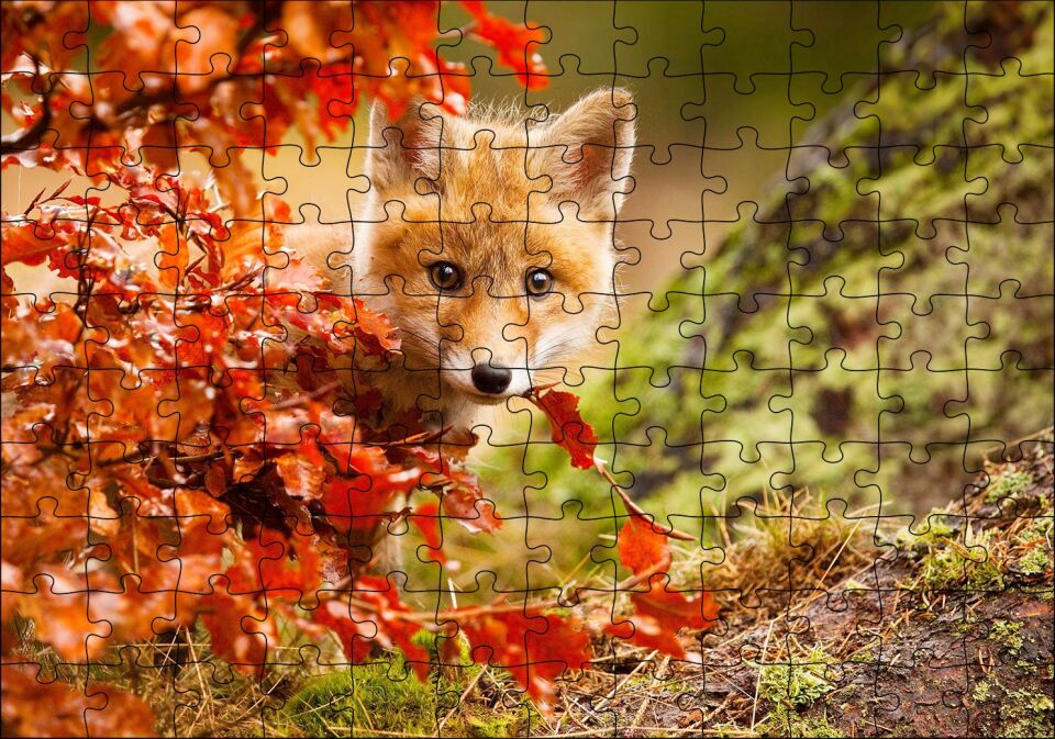 Kırmızı Yapraklar Arkasındaki Sevimli Yavru Tilki Puzzle Yapboz MDF Ahşap