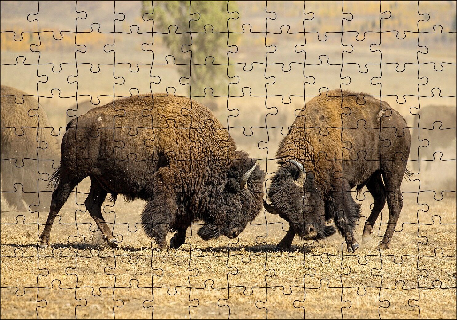 Çayırda Gövde Gösterisindeki Bizonlar Puzzle Yapboz MDF Ahşap 120 Parça 24 cm X 34 cm