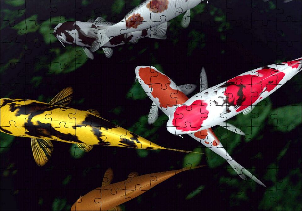 Koi Balıkları Yukarıdan Görünüm Puzzle Yapboz MDF Ahşap