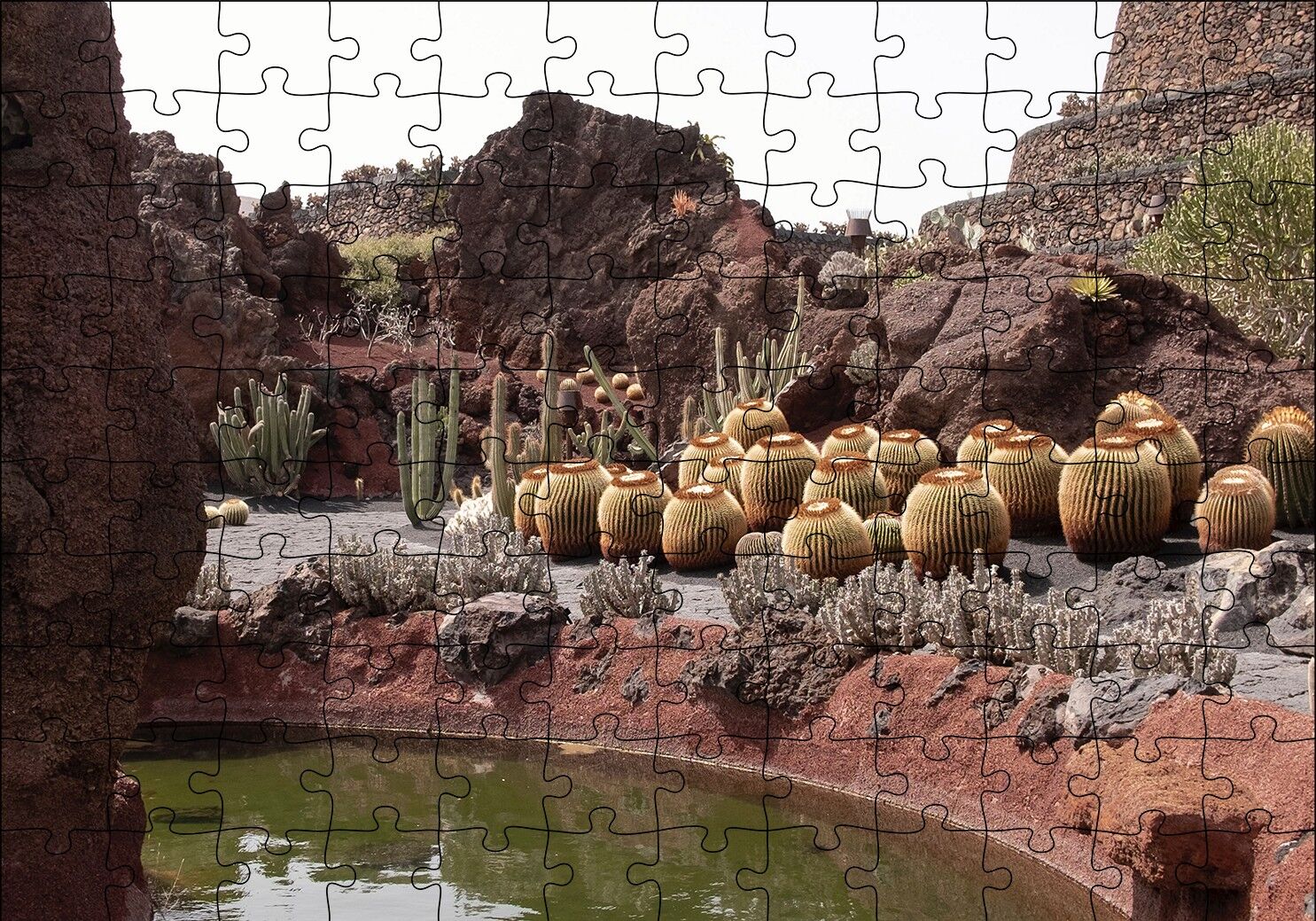 Yuvarlak Kaktüsler ve Kayalar Puzzle Yapboz MDF Ahşap 120 Parça 24 cm X 34 cm