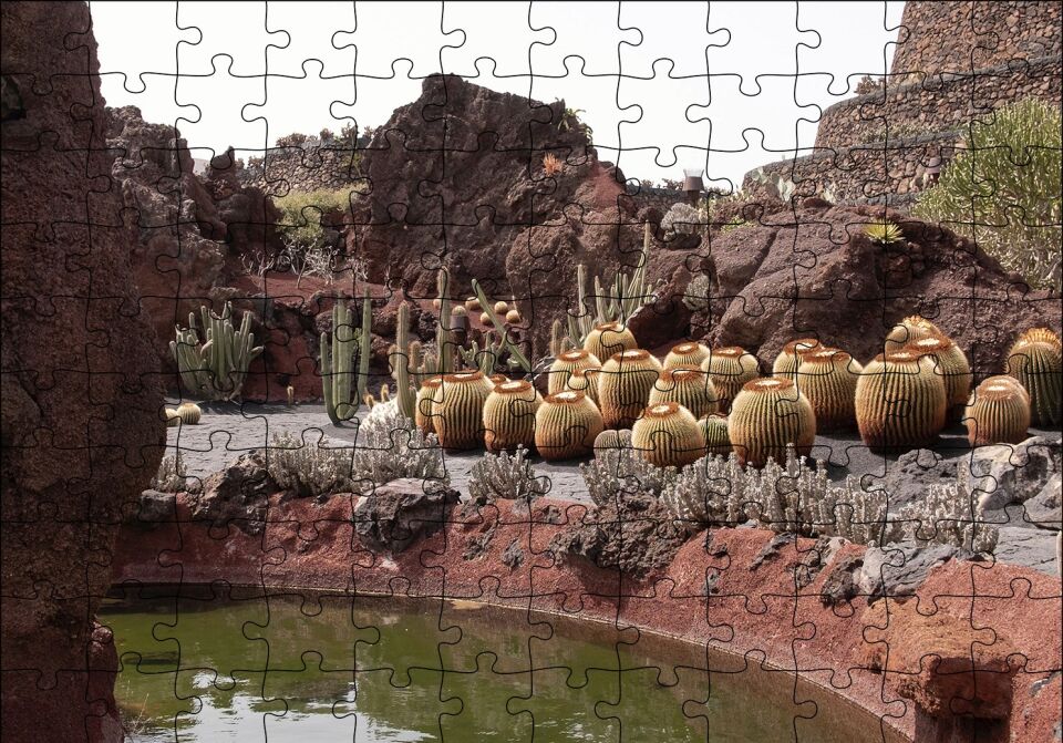 Yuvarlak Kaktüsler ve Kayalar Puzzle Yapboz MDF Ahşap 120 Parça 24 cm X 34 cm