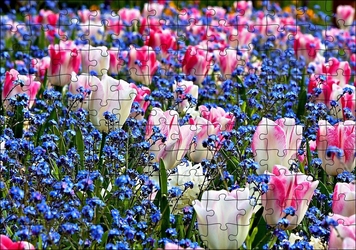 Lale Çiçeği Ve Bahar Çiçekleri Puzzle Yapboz MDF Ahşap