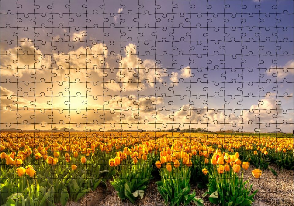 Günbatımında Bulutlar ve Sarı Laleler Puzzle Yapboz MDF Ahşap 255 Parça 34 cm X 49 cm