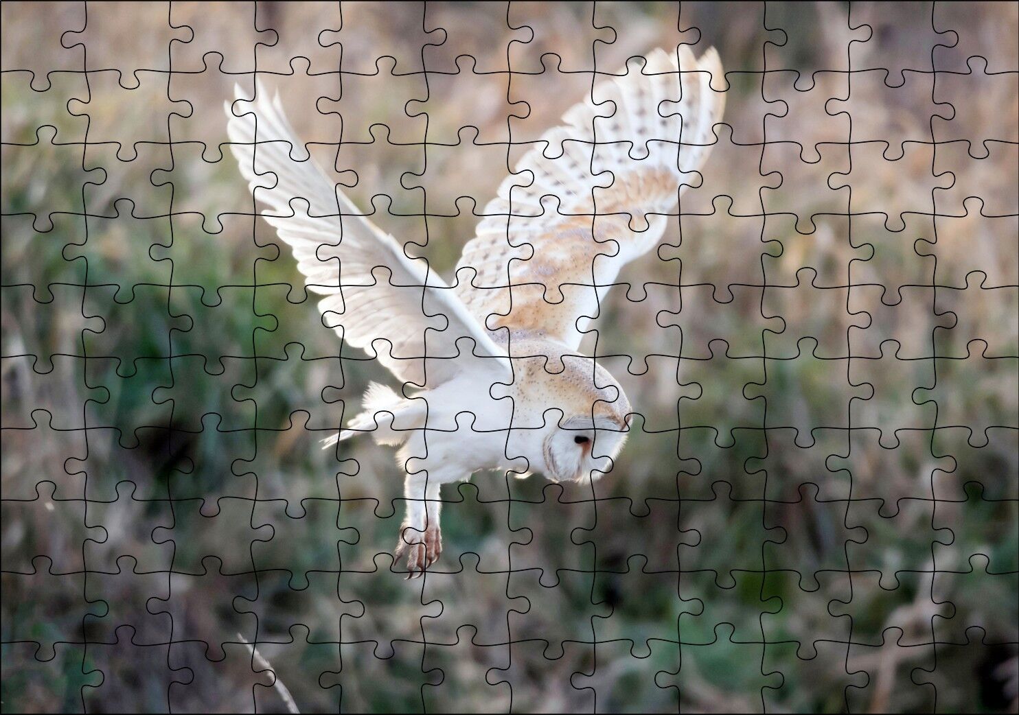 Çayırda Konmaya Hazırlanan Beyaz Baykuş Puzzle Yapboz MDF Ahşap
