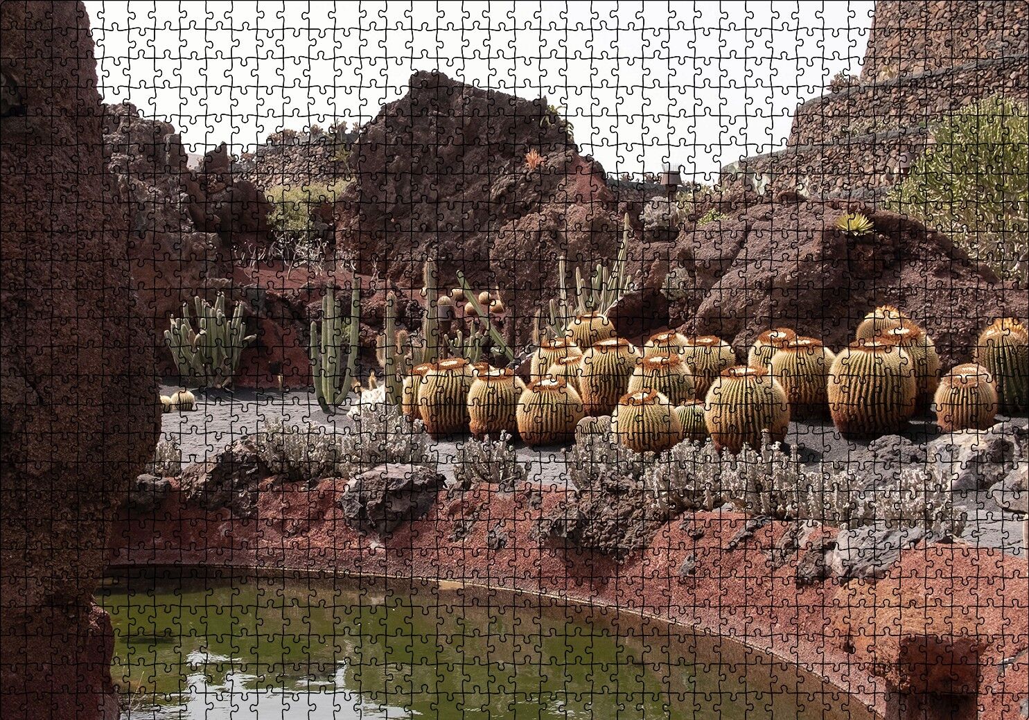 Yuvarlak Kaktüsler ve Kayalar Puzzle Yapboz MDF Ahşap 1000 Parça 49 cm X 68 cm
