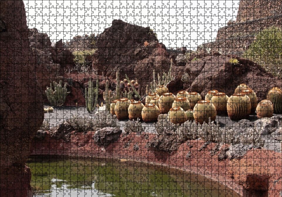Yuvarlak Kaktüsler ve Kayalar Puzzle Yapboz MDF Ahşap 1000 Parça 49 cm X 68 cm