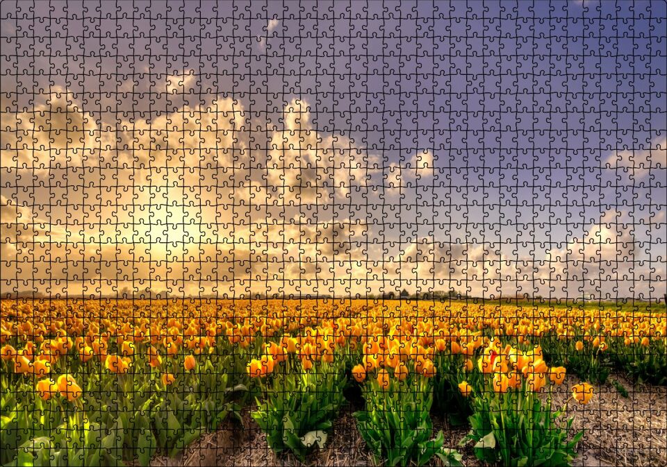 Günbatımında Bulutlar ve Sarı Laleler Puzzle Yapboz MDF Ahşap 1000 Parça 49 cm X 68 cm