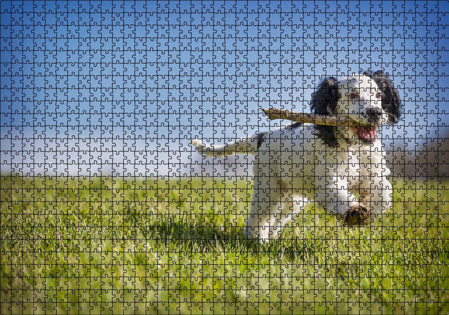 Çayırda Oyun Oynayan Sevimli Köpek Puzzle Yapboz MDF Ahşap 1000 Parça 49 cm X 68 cm
