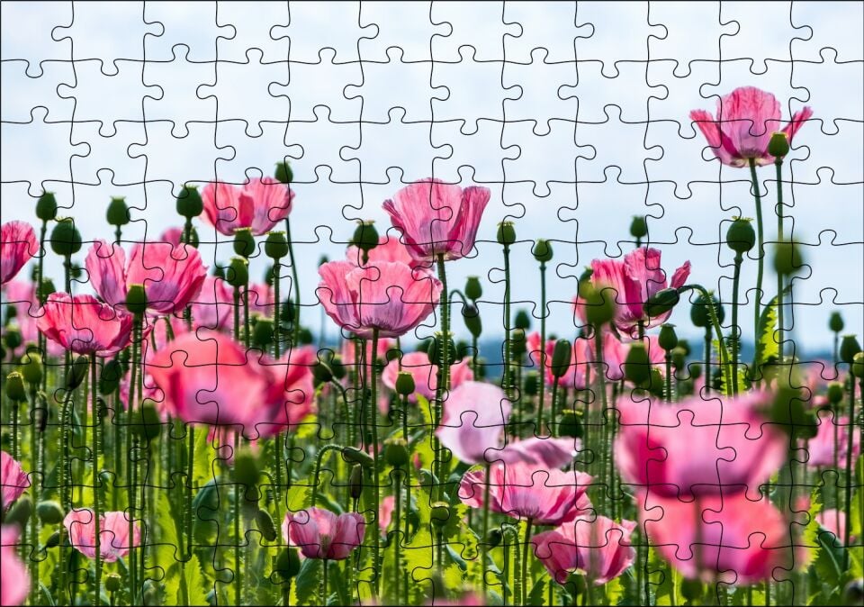 Çayırda Pembe Gelincikler ve Gökyüzü Puzzle Yapboz MDF Ahşap 120 Parça 24 cm X 34 cm