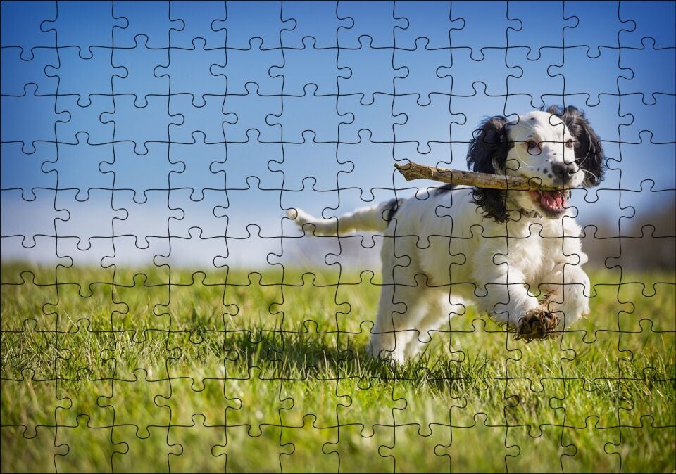Çayırda Oyun Oynayan Sevimli Köpek Puzzle Yapboz MDF Ahşap