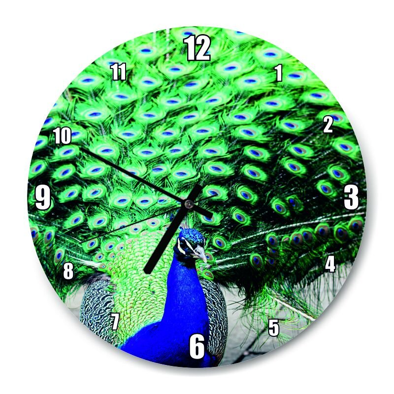 Tavuskuşu ve Muhteşem Tüyleri  Mdf Ahşap Duvar Saati