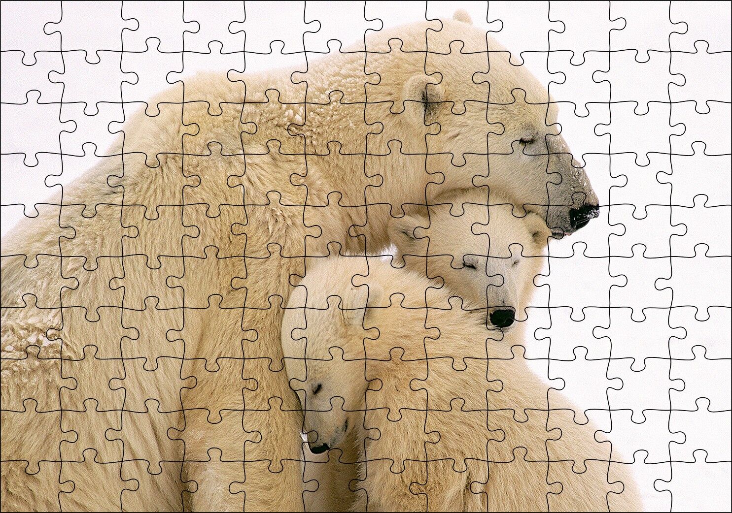 Kutup Ayısı ve Sevimli Yavruları Kar Arkaplan Puzzle Yapboz MDF Ahşap