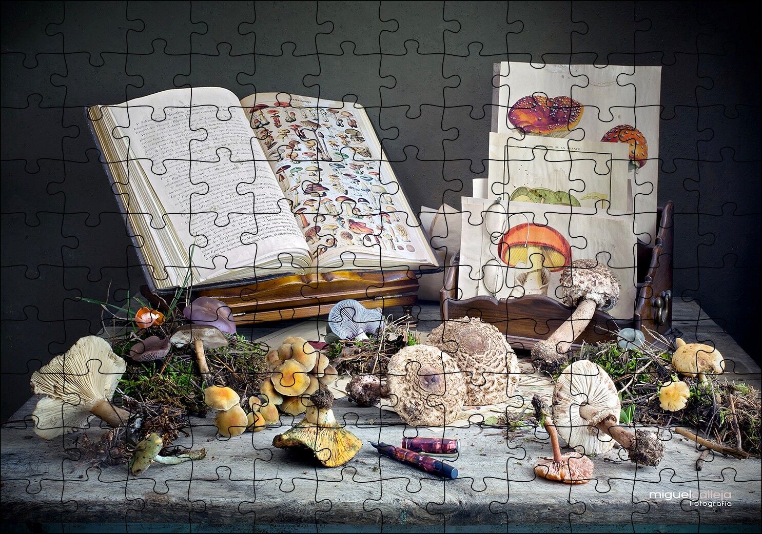 Çeşitli Mantarlar ve Mantarlara Dair Kitaplar Puzzle Yapboz MDF Ahşap 120 Parça 24 cm X 34 cm