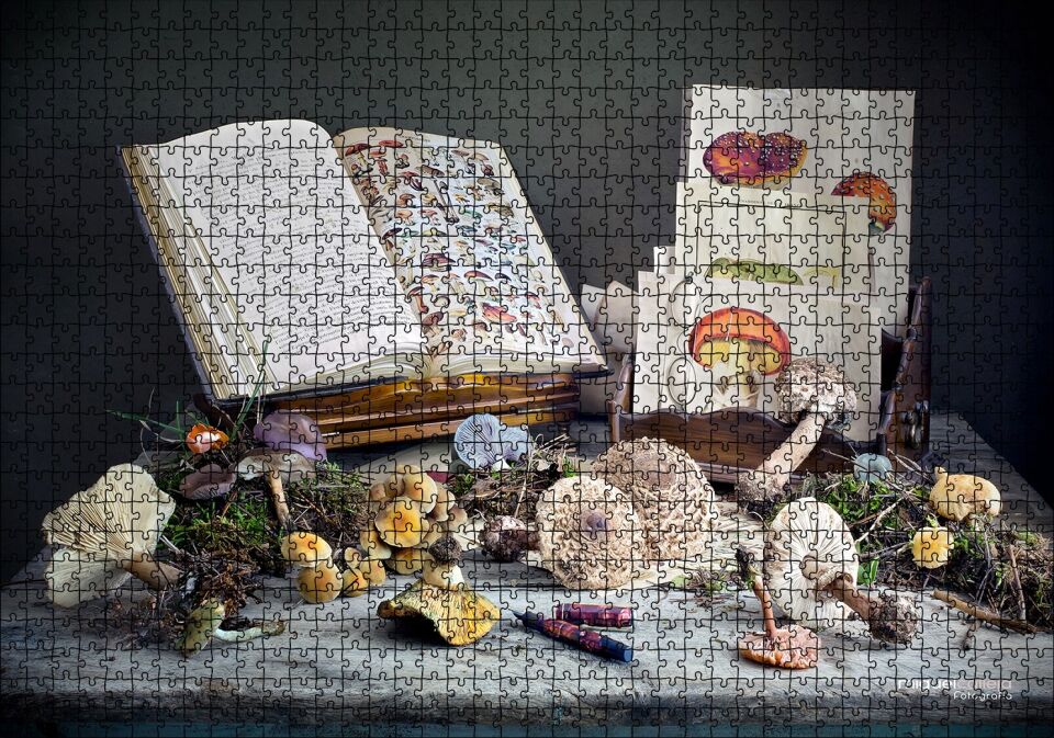 Çeşitli Mantarlar ve Mantarlara Dair Kitaplar Puzzle Yapboz MDF Ahşap 1000 Parça 49 cm X 68 cm