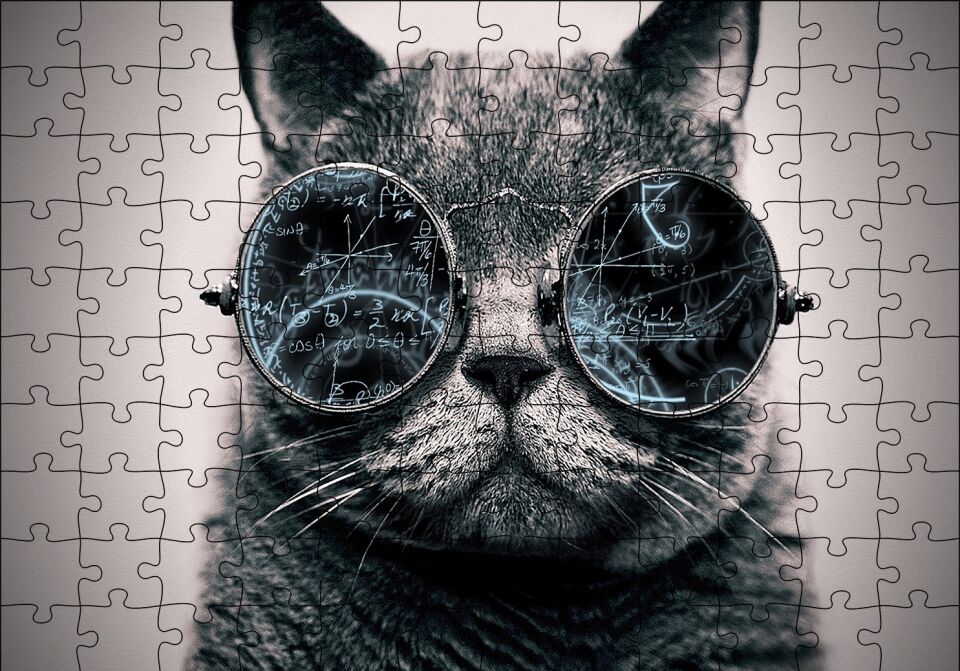 Gözlüklü Siyah Kedi ve Formüller Puzzle Yapboz MDF Ahşap 120 Parça 24 cm X 34 cm
