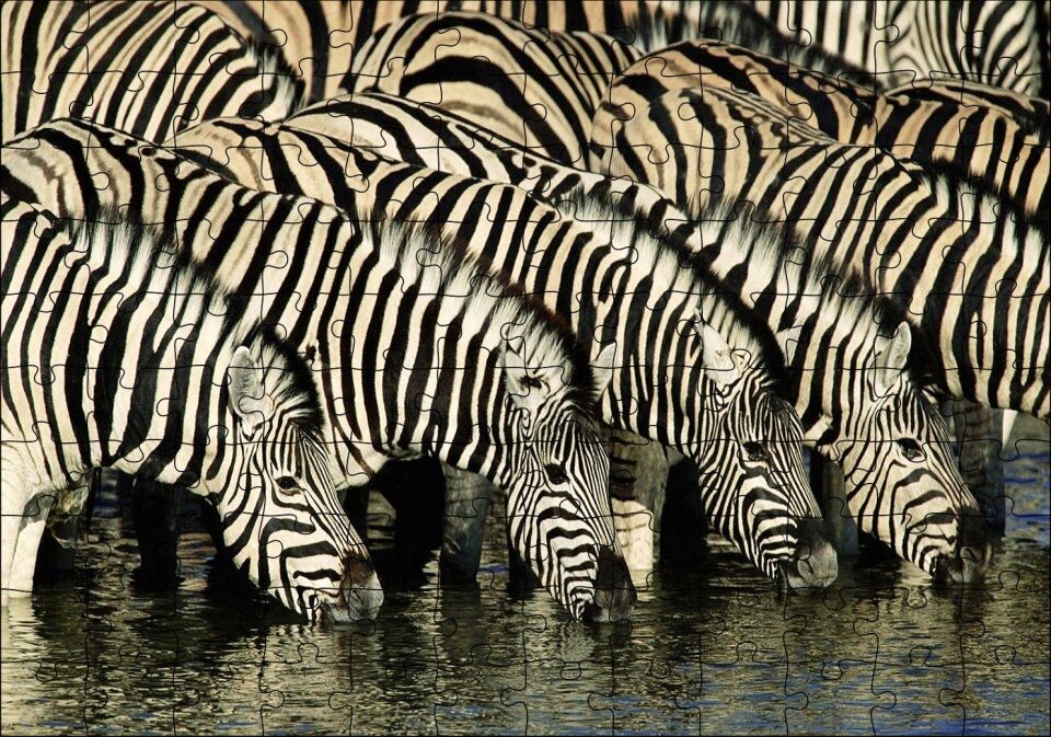 Su İçen Zebra Sürüsü Görseli Puzzle Yapboz MDF Ahşap 120 Parça 24 cm X 34 cm