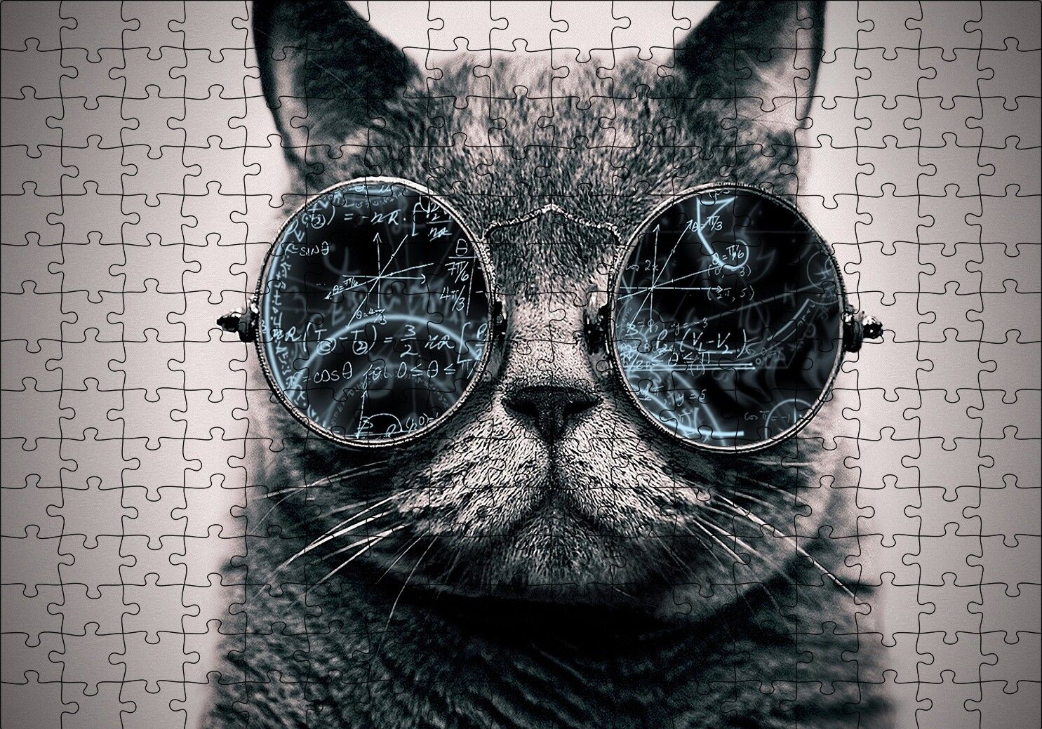 Gözlüklü Siyah Kedi ve Formüller Puzzle Yapboz MDF Ahşap 255 Parça 34 cm X 49 cm