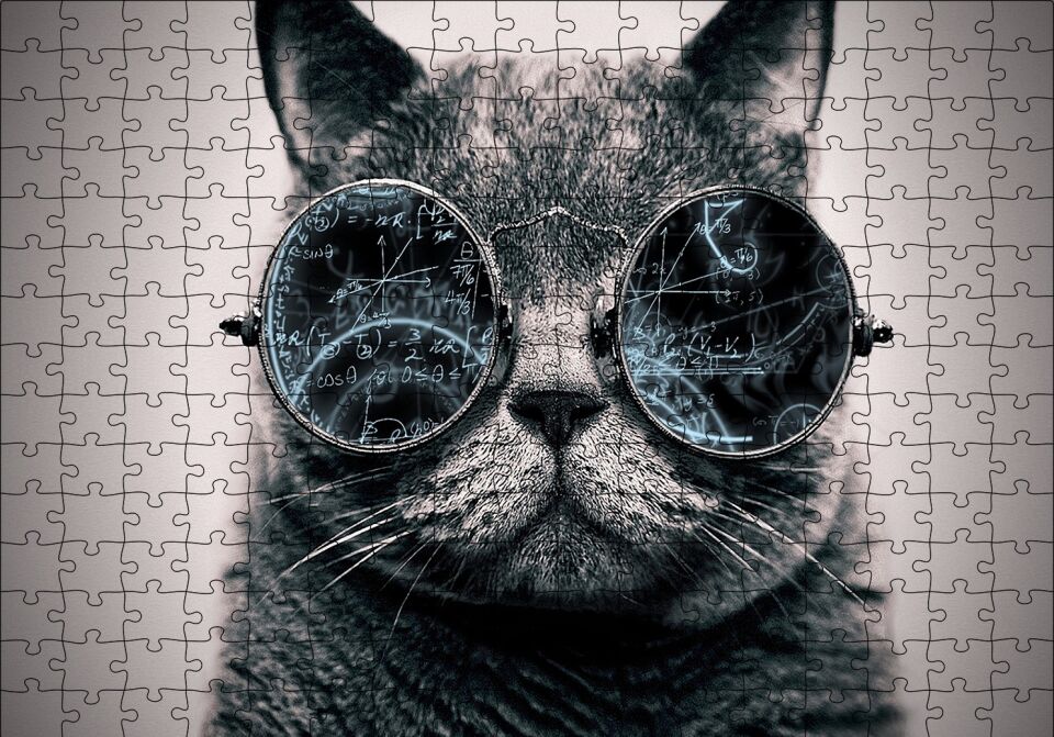 Gözlüklü Siyah Kedi ve Formüller Puzzle Yapboz MDF Ahşap 255 Parça 34 cm X 49 cm