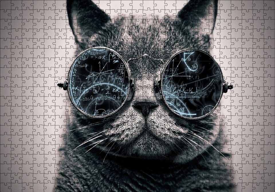 Gözlüklü Siyah Kedi ve Formüller Puzzle Yapboz MDF Ahşap 500 Parça 49 cm X 68 cm