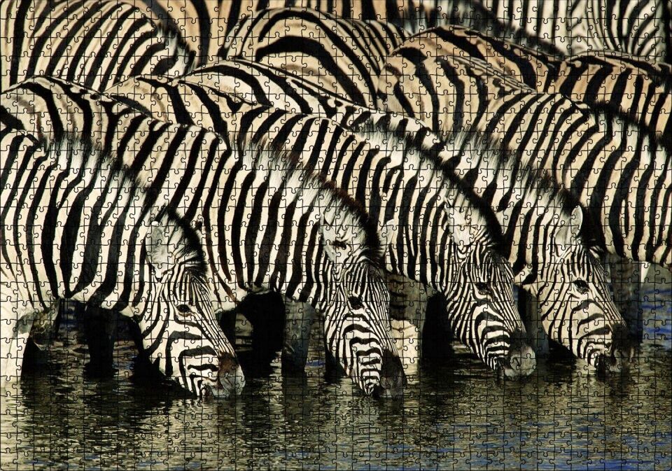 Su İçen Zebra Sürüsü Görseli Puzzle Yapboz MDF Ahşap 1000 Parça 49 cm X 68 cm