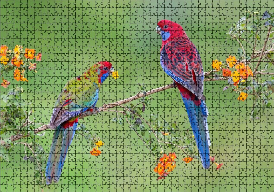 Çiçekli Dal Üzerindeki Renkli Papağanlar Puzzle Yapboz MDF Ahşap 1000 Parça 49 cm X 68 cm