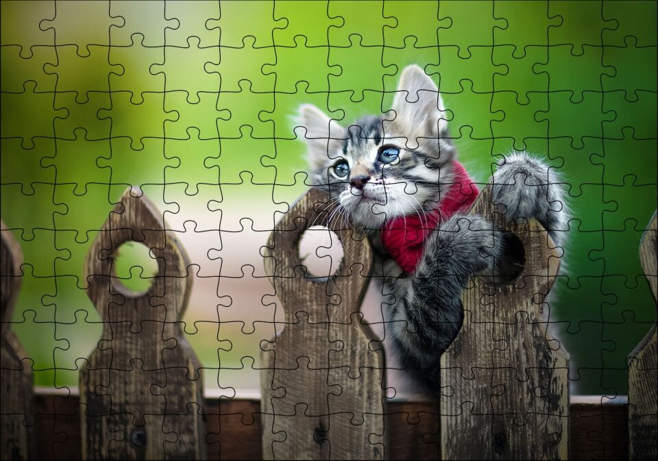 Çitlerin Üzerinde Oynayan Sevimli Tekir Kedi Puzzle Yapboz MDF Ahşap 120 Parça 24 cm X 34 cm