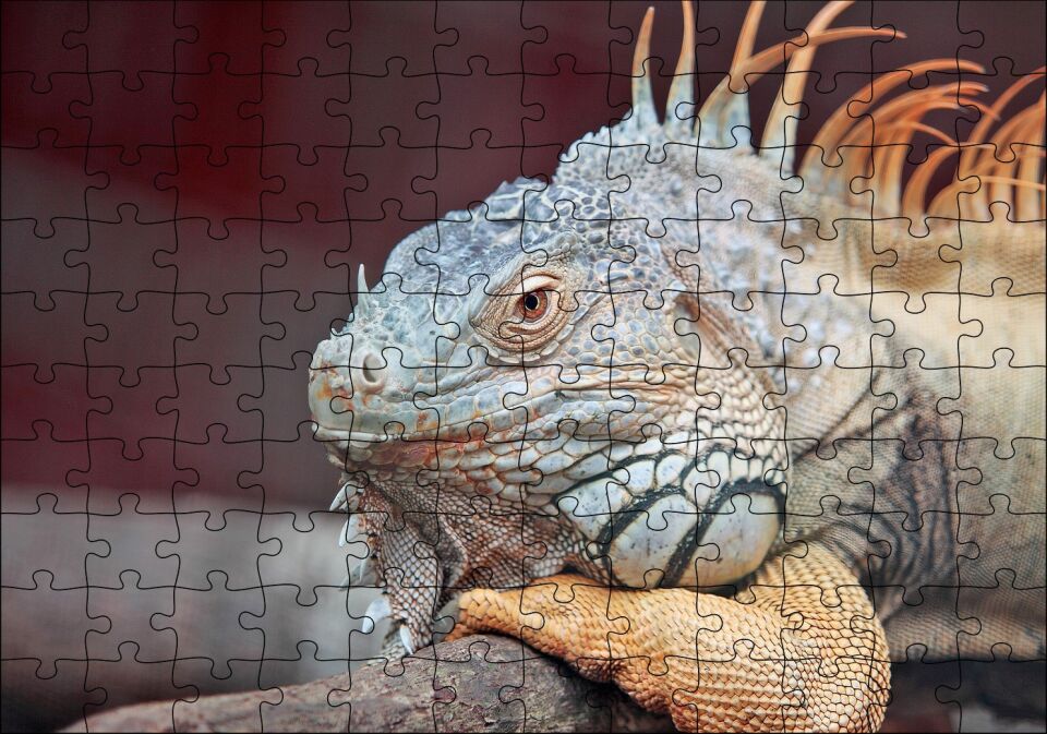 Dal Üzerinde Dinlenen Dev Kertenkele Puzzle Yapboz MDF Ahşap
