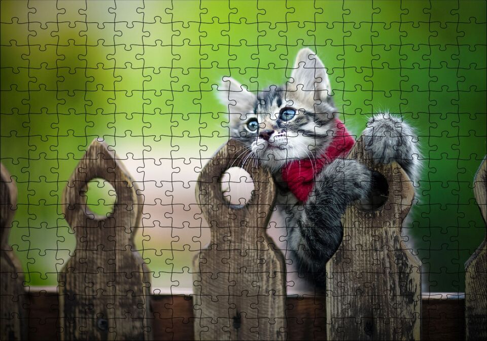 Çitlerin Üzerinde Oynayan Sevimli Tekir Kedi Puzzle Yapboz MDF Ahşap 255 Parça 34 cm X 49 cm