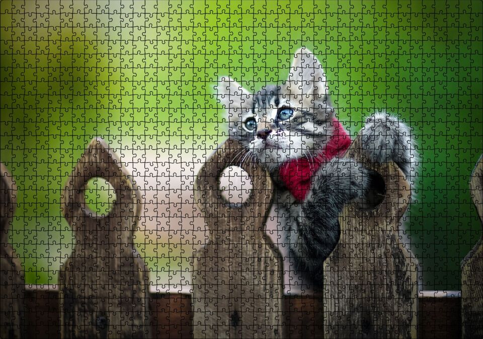 Çitlerin Üzerinde Oynayan Sevimli Tekir Kedi Puzzle Yapboz MDF Ahşap 1000 Parça 49 cm X 68 cm