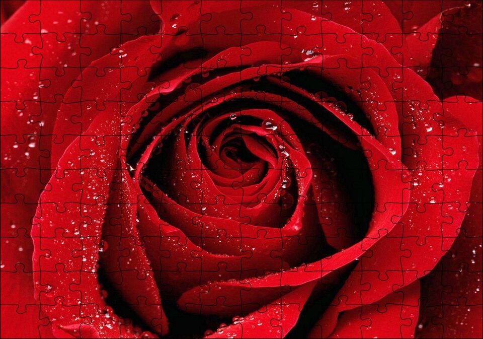 Yağmur Damlası Ve Güzel Gül Fotoğrafı Puzzle Yapboz MDF Ahşap 120 Parça 24 cm X 34 cm
