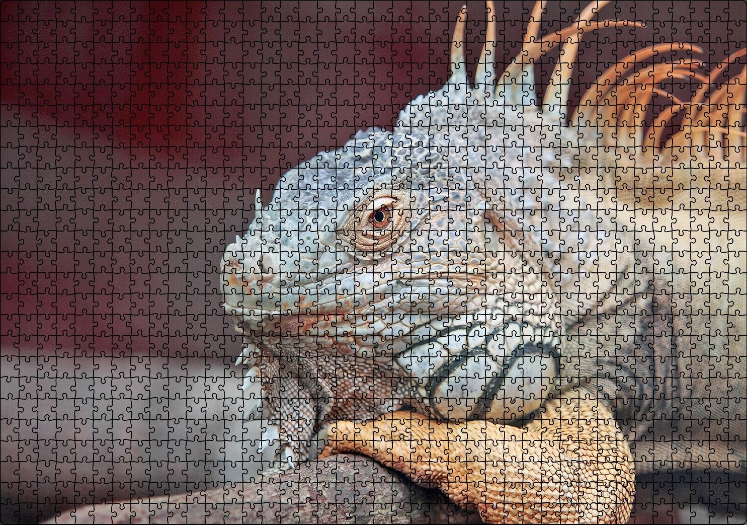 Dal Üzerinde Dinlenen Dev Kertenkele Puzzle Yapboz MDF Ahşap 1000 Parça 49 cm X 68 cm