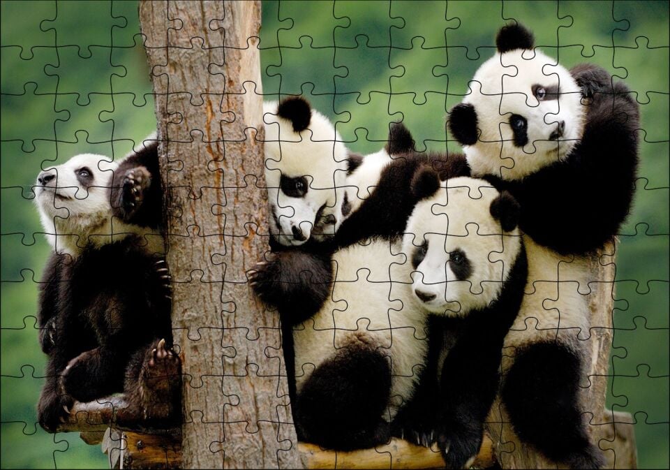 Dalda Oynayan Yavru Pandalar Puzzle Yapboz MDF Ahşap 120 Parça 24 cm X 34 cm