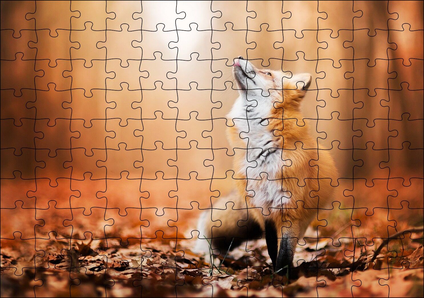 Orman Zemininde Yapraklar ve Yukarı Bakan Tilki Puzzle Yapboz MDF Ahşap