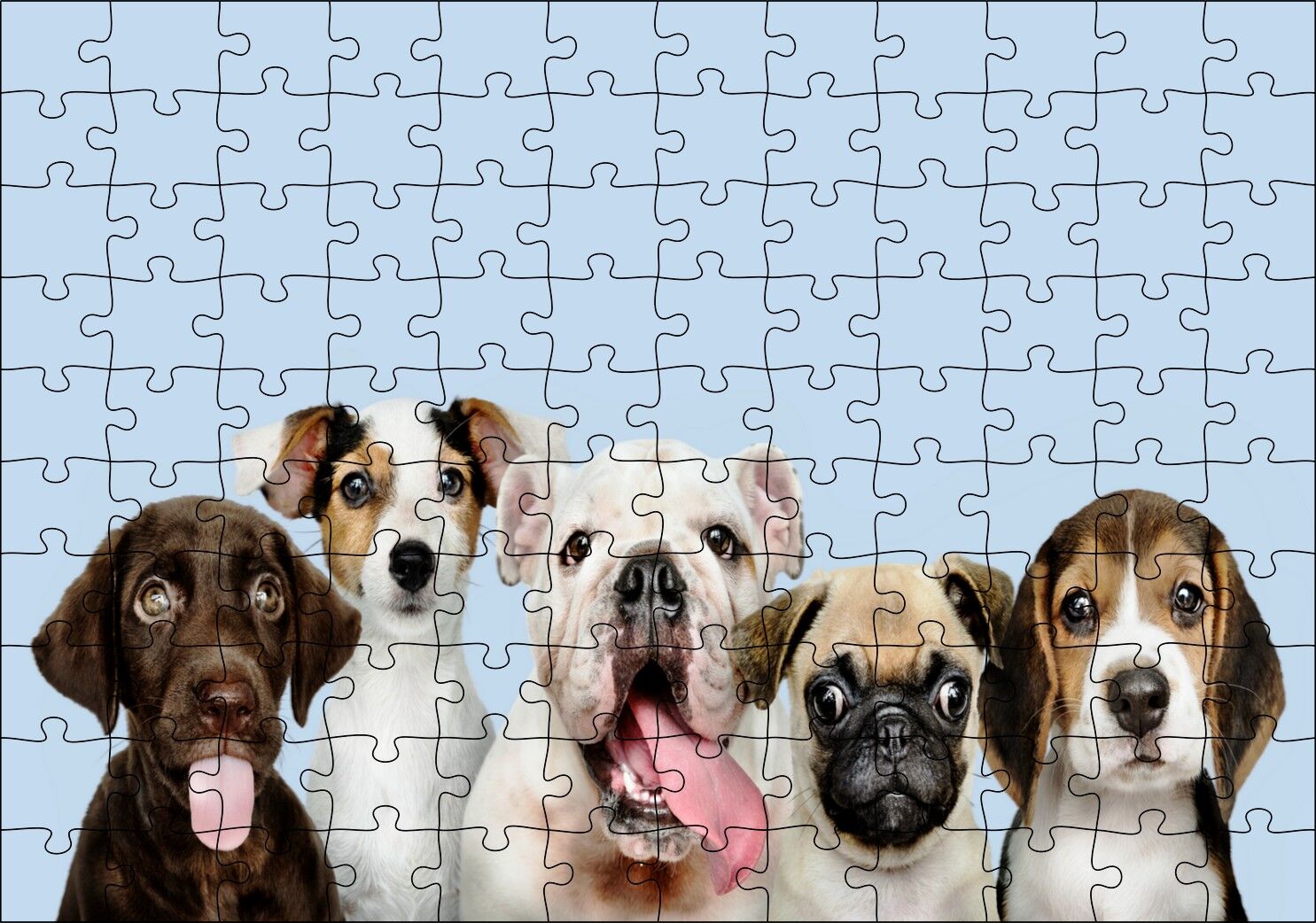 Sevimli 5 Köpek Portre Gökyüzü Arka Plan Puzzle Yapboz MDF Ahşap 120 Parça 24 cm X 34 cm