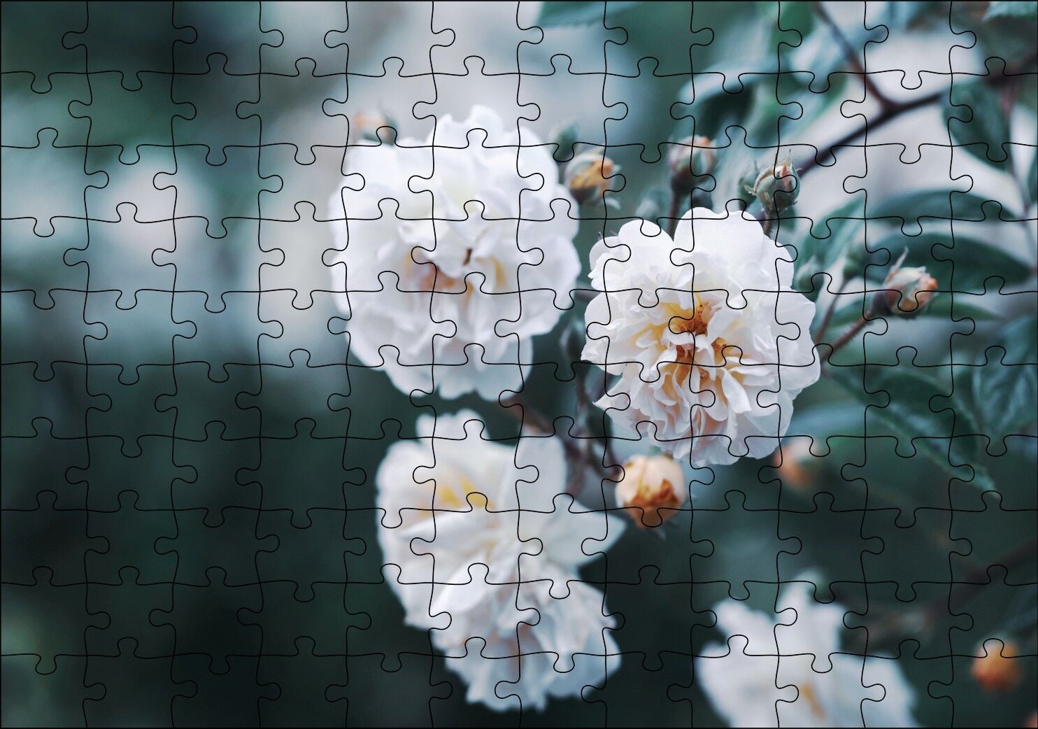 Dalda Beyaz Çiçekler Flu Arka Plan Puzzle Yapboz MDF Ahşap 120 Parça 24 cm X 34 cm