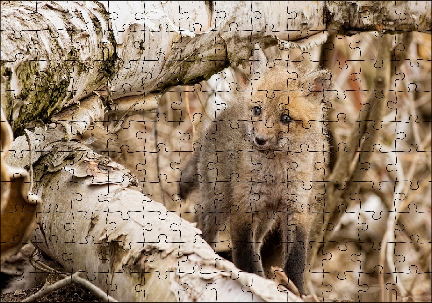 Ormanda Ağaçlar Arasındaki Yavru Tilki Puzzle Yapboz MDF Ahşap