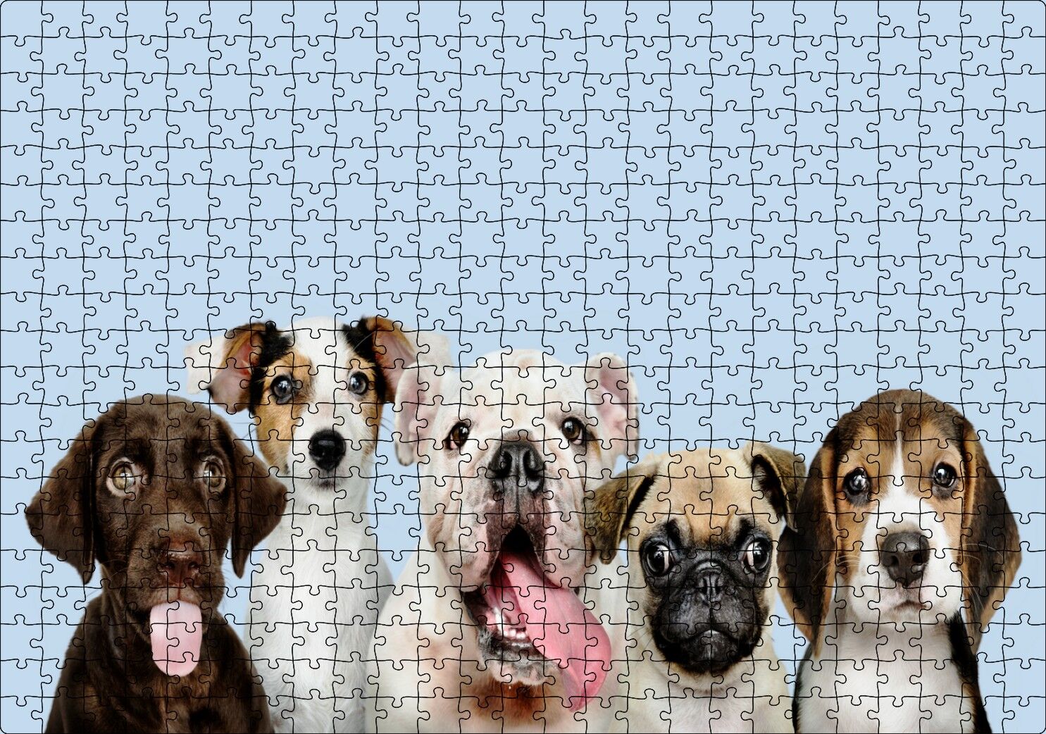 Sevimli 5 Köpek Portre Gökyüzü Arka Plan Puzzle Yapboz MDF Ahşap 500 Parça 49 cm X 68 cm