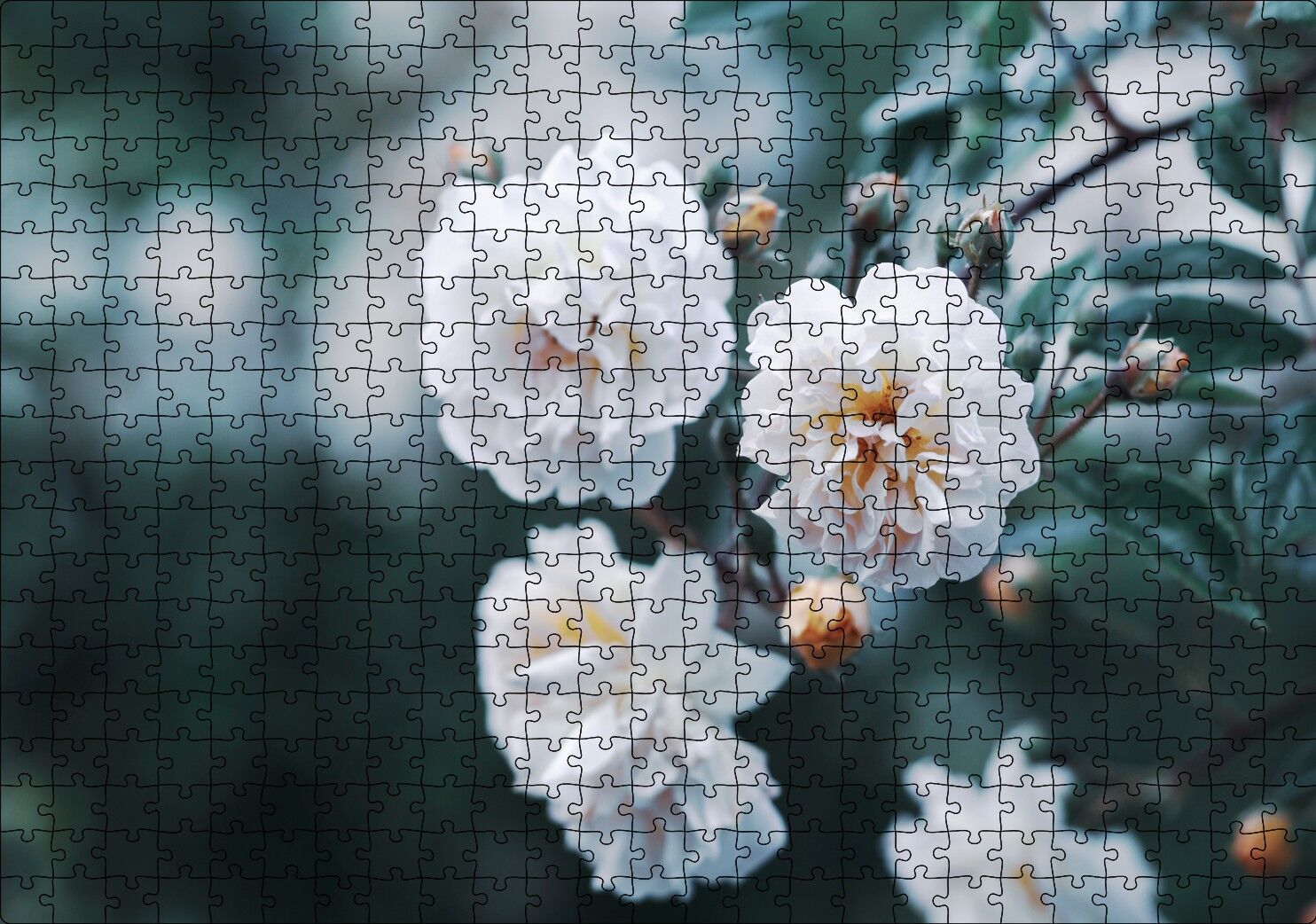 Dalda Beyaz Çiçekler Flu Arka Plan Puzzle Yapboz MDF Ahşap 500 Parça 49 cm X 68 cm