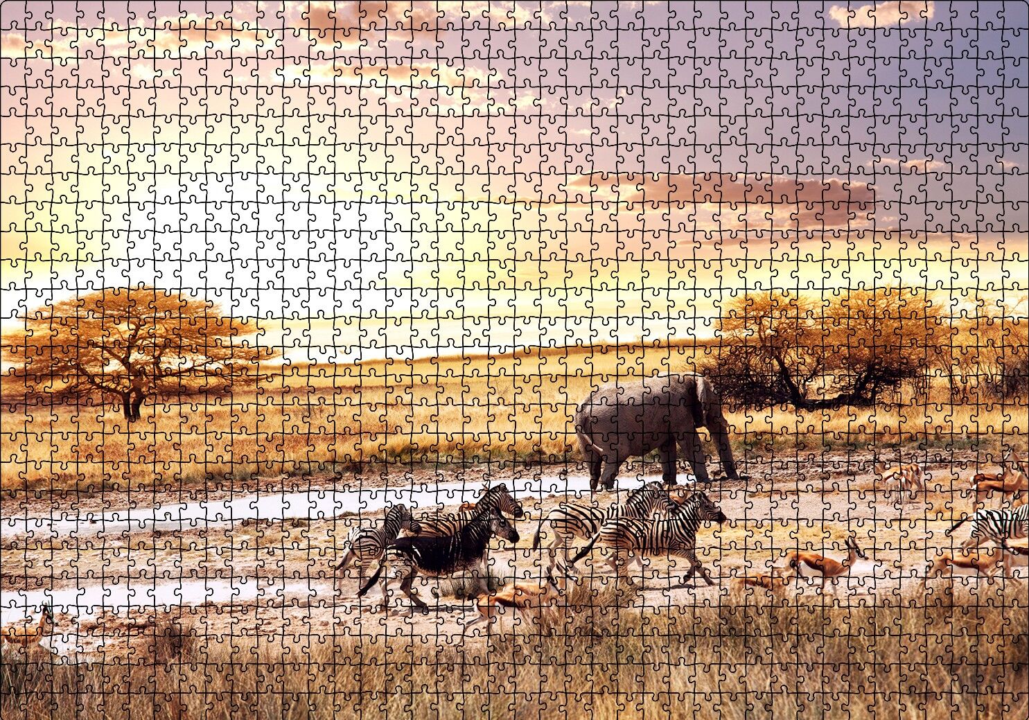 Savanada Filler Zebralar ve Antiloplar Puzzle Yapboz MDF Ahşap 1000 Parça 49 cm X 68 cm