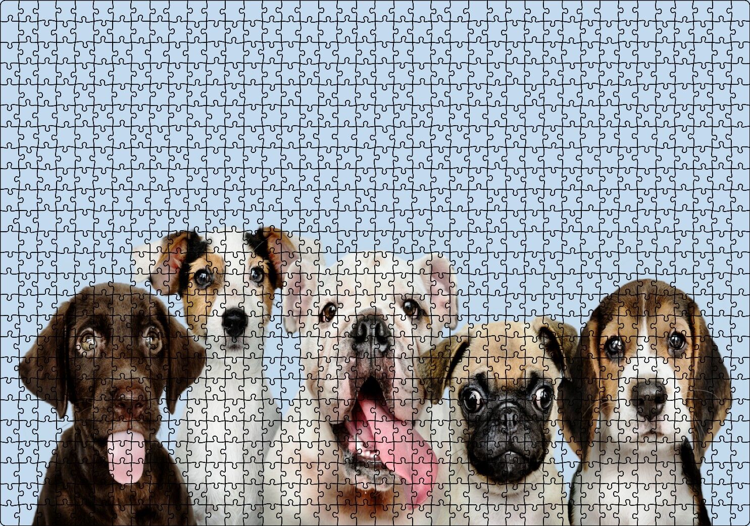 Sevimli 5 Köpek Portre Gökyüzü Arka Plan Puzzle Yapboz MDF Ahşap 1000 Parça 49 cm X 68 cm