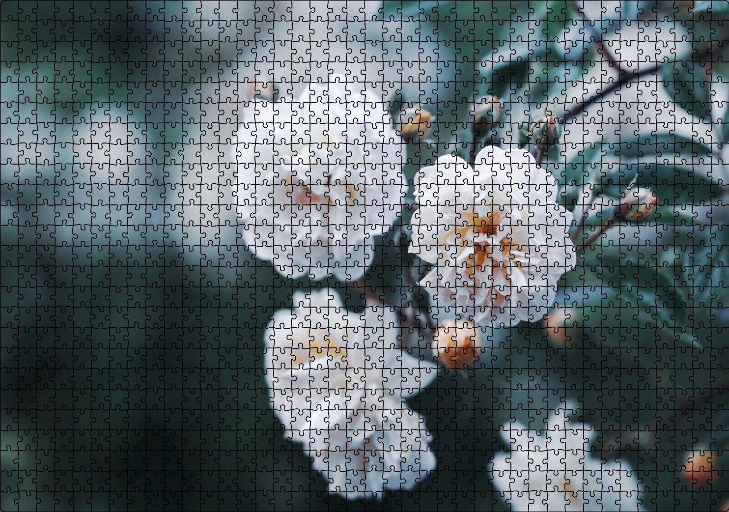 Dalda Beyaz Çiçekler Flu Arka Plan Puzzle Yapboz MDF Ahşap 1000 Parça 49 cm X 68 cm