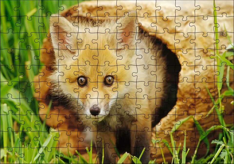 Ormanda Kütüğün İçinden Çıkan Meraklı Yavru Tilki Puzzle Yapboz MDF Ahşap