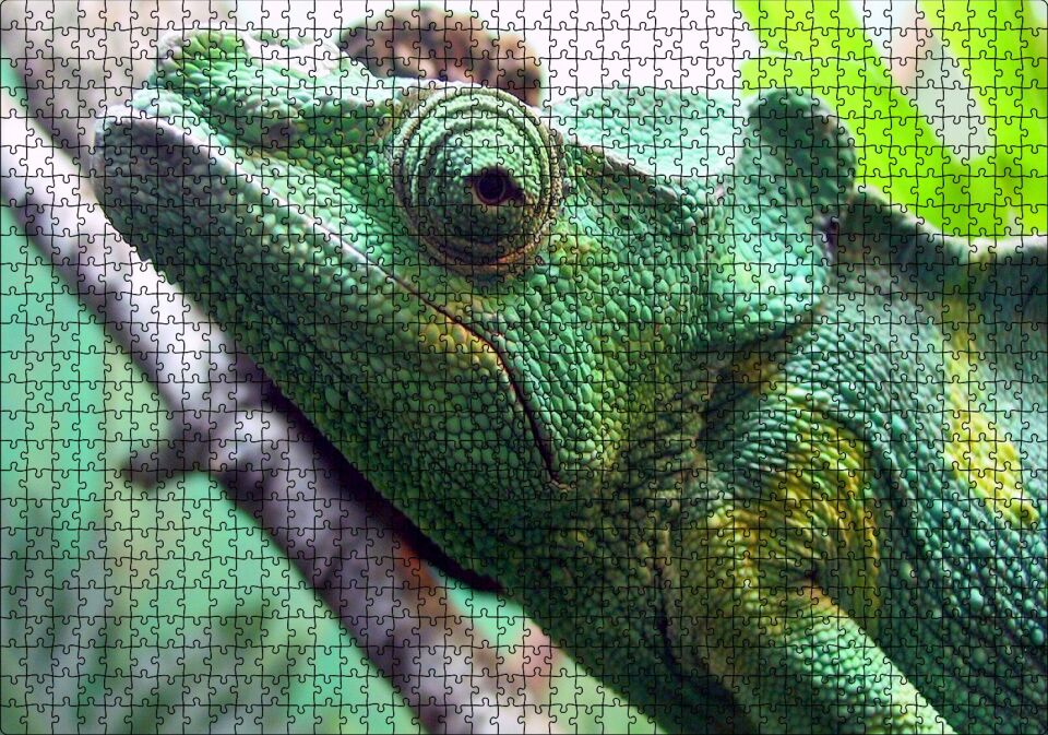 Daldaki Bukalemun Yakın Çekim Puzzle Yapboz MDF Ahşap 1000 Parça 49 cm X 68 cm