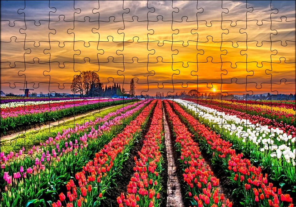 Hollanda'da Günbatımı ve Lale Tarlaları Puzzle Yapboz MDF Ahşap 120 Parça 24 cm X 34 cm
