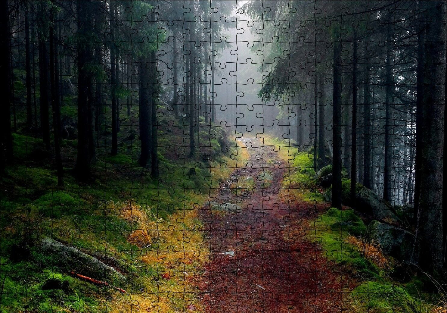 Sisli Ormandaki Patika Puzzle Yapboz MDF Ahşap 255 Parça 34 cm X 49 cm