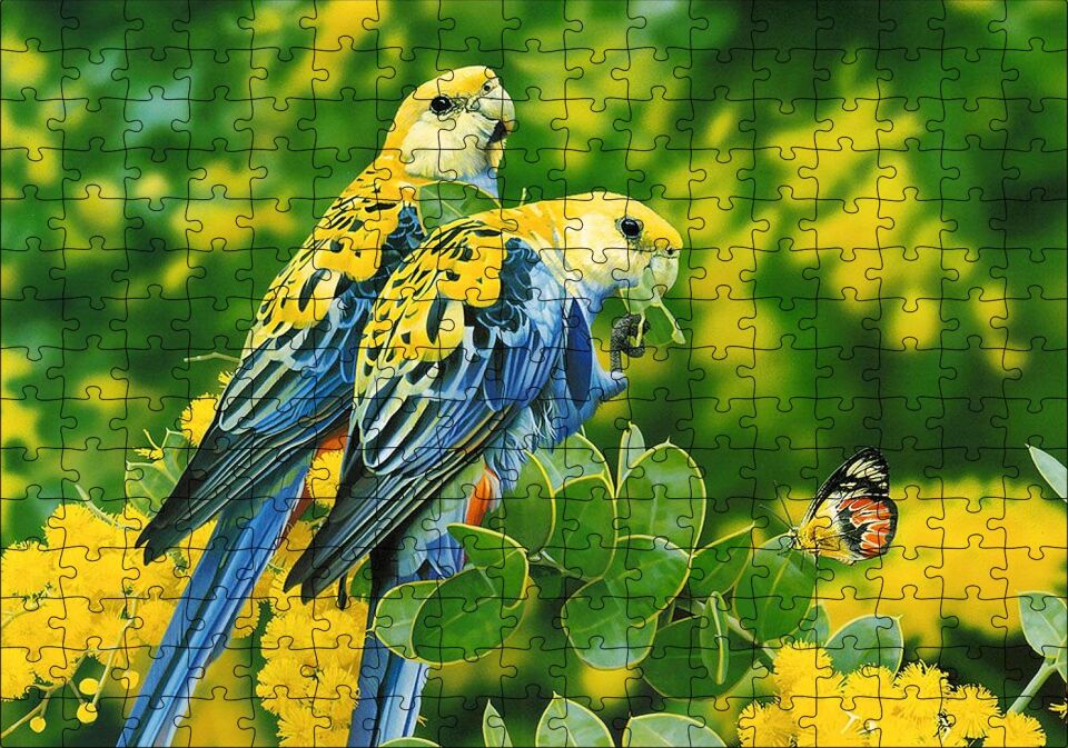 Papağanlar Sarı Mavi Ve Sarı Çiçekler İle Kelebek Puzzle Yapboz MDF Ahşap 255 Parça 34 cm X 49 cm