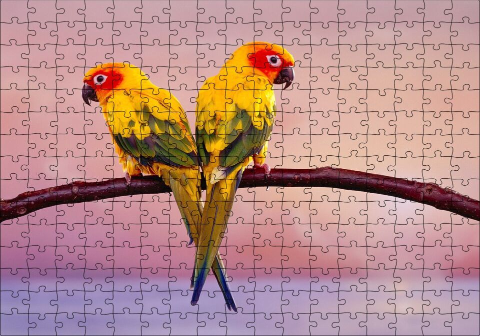 Daldaki Sarı Kırmızı Yeşil Sevda Kuşları Flu Deniz Arka Plan Puzzle Yapboz MDF Ahşap 255 Parça 34 cm X 49 cm