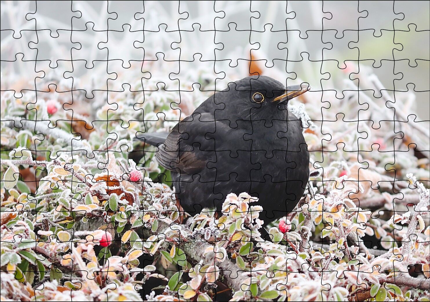 Donmuş Çalıların Arasındaki Karatavuk Puzzle Yapboz MDF Ahşap