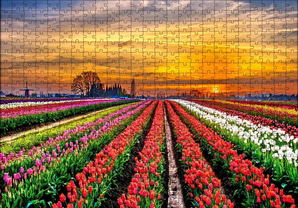 Hollanda'da Günbatımı ve Lale Tarlaları Puzzle Yapboz MDF Ahşap 500 Parça 49 cm X 68 cm
